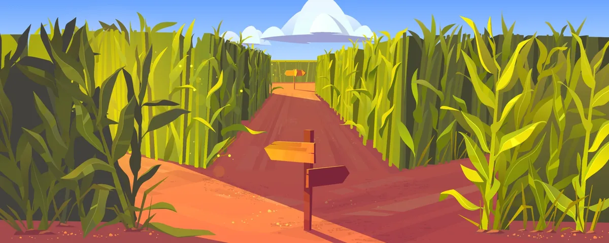 The Cornfield